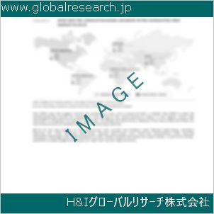 グローバルリサーチ調査資料のイメージ